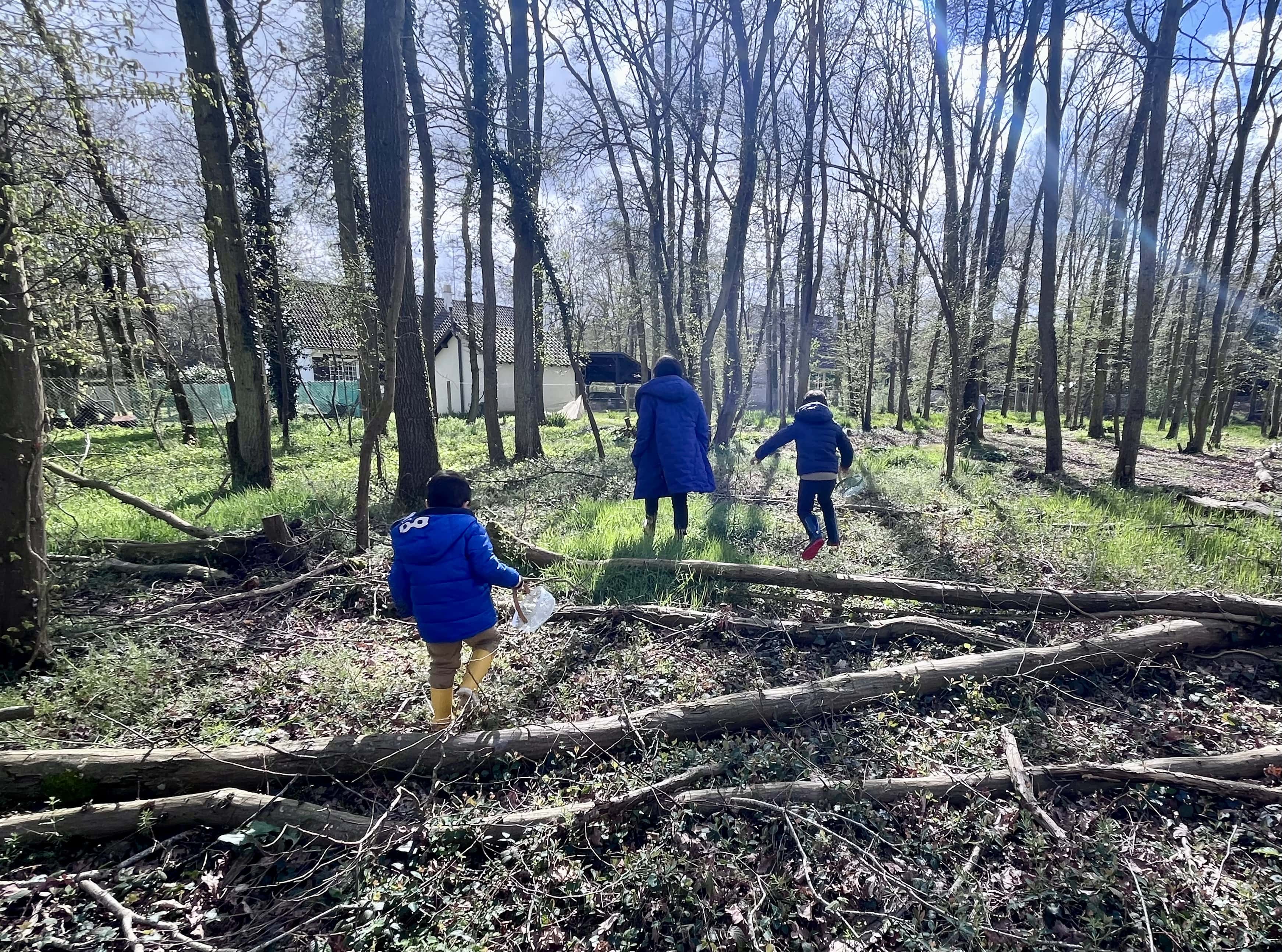 Les enfants courent dans le bois